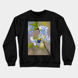 Bumbling Crewneck Sweatshirt